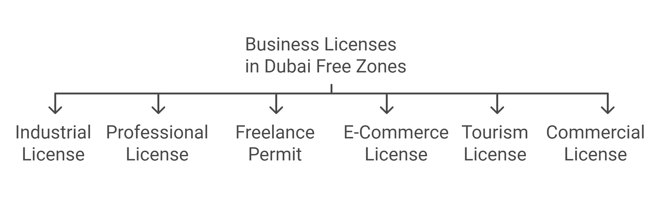 Business Licenses